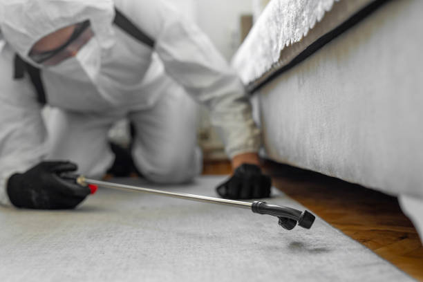 Professional Cockroach Control technician working in Palmview, TX